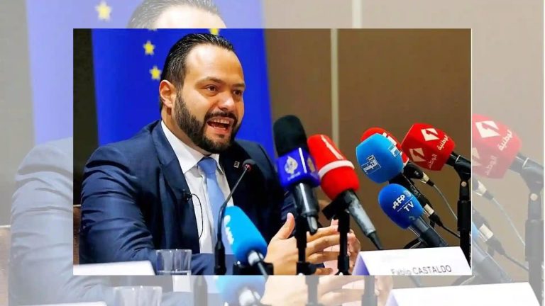 EU Election Observers In Zimbabwe Denied Bribery Allegations