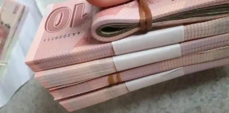 Govt Delays Payments To Farmers To Maintain Zim Dollar "Stability"