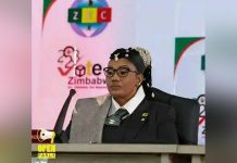 ERC And ZESN Statement On The Announcement Of 2023 Election Results ERC And ZESN Statement On The Announcement Of 2023 Election Results