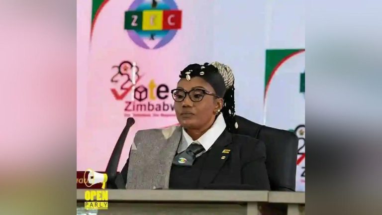 ERC And ZESN Statement On The Announcement Of 2023 Election Results