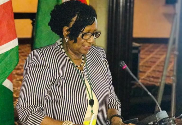 Fraud accused ex-minister Mupfumira bounces back as Zanu PF Senator