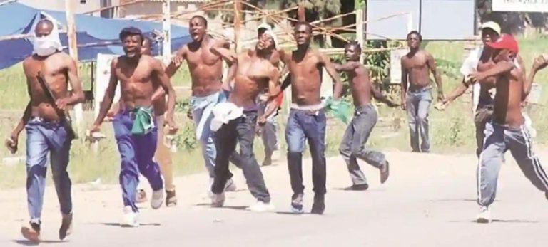 ZANU PF And FAZ Allegedly Aim To Suppress CCC Supporters, Disrupt Planned Protests