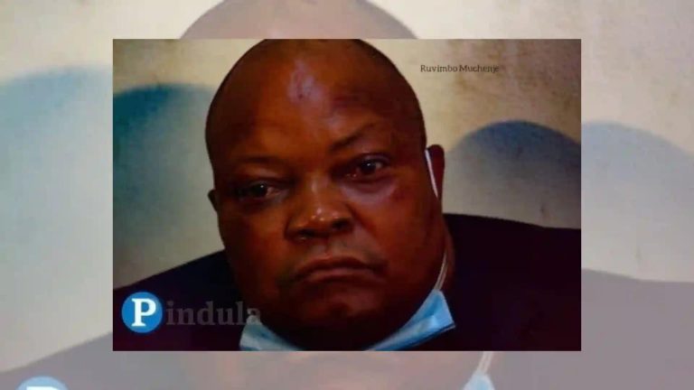 CCC Demands Release Of Sikhala And Ngarivhume As Condition For Fresh Elections
