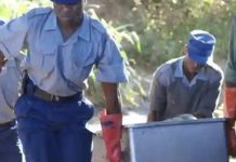 Five Homeless Men Murdered Inside A Week In Harare Five Homeless Men Murdered Inside A Week In Harare