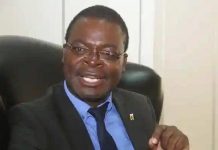 New Cabinet: President Mnangagwa’s Non-Constituency Ministers New Cabinet: President Mnangagwa's Non-Constituency Ministers