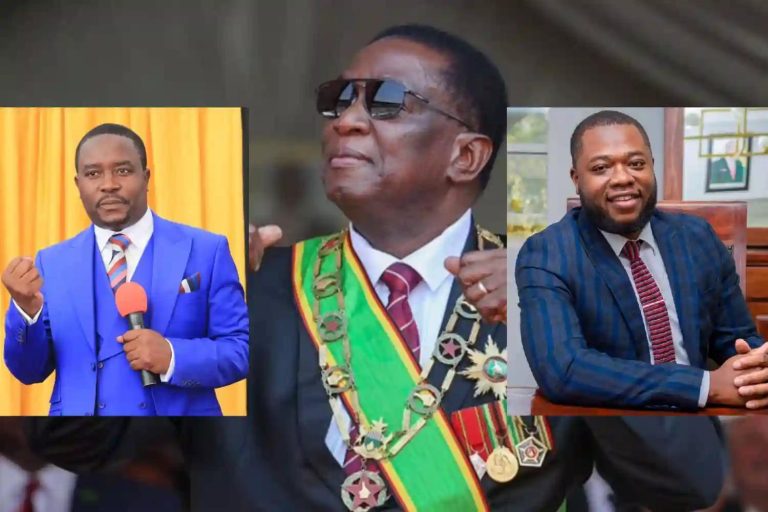 ED Has Nothing To Apologise For Even If He Appoints Qualified Relatives To Key Govt Posts - Dr Mavaza