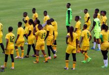 ZIFA Normalisation Committee To Announce New Mighty Warriors Coach On Thursday ZIFA Normalisation Committee To Announce New Mighty Warriors Coach On Thursday