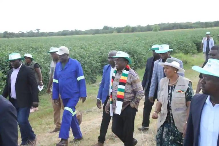 Cop Who Stole From Mnangagwa’s Farm Granted $300k Bail