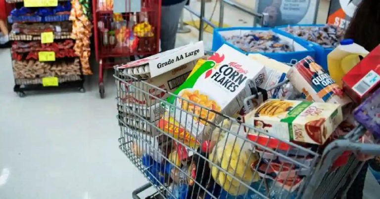 Serial Shoplifter Jailed One Year For Stealing Groceries Worth Over ZW$700,000