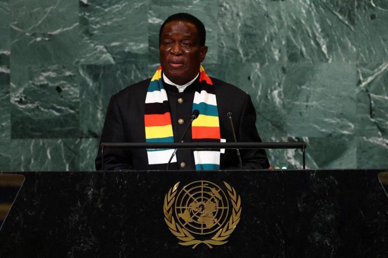 Zimbabwean President's Growing Economy Claims Met With Doubt, Anger