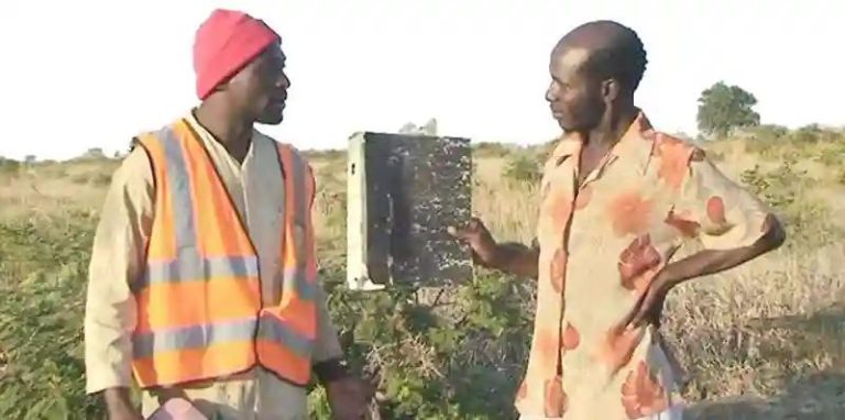 "Sir Wicknell" Offers Sabhuku Vharazipi US$10 000 For "Bootlicking" ZANU PF