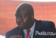 Companies Under Mutapa Investment Fund Not Exempted From Public Procurement Laws – Guvamatanga Companies Under Mutapa Investment Fund Not Exempted From Public Procurement Laws - Guvamatanga
