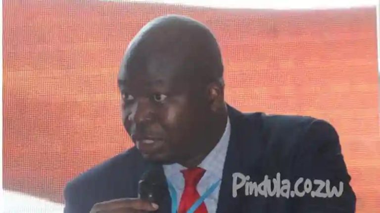 Companies Under Mutapa Investment Fund Not Exempted From Public Procurement Laws - Guvamatanga