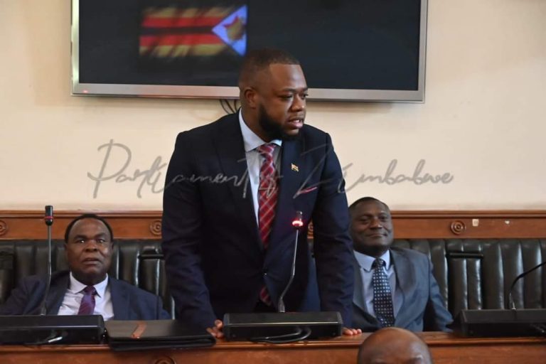 Report businesses rejecting $50 Mbuya Nehanda note to Financial Intelligence Unit – says deputy Finance Minister Mnangagwa
