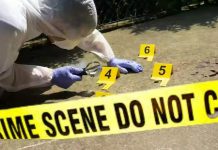 Police In Masvingo Investigating Murder Of A Businessman Police In Masvingo Investigating Murder Of A Businessman