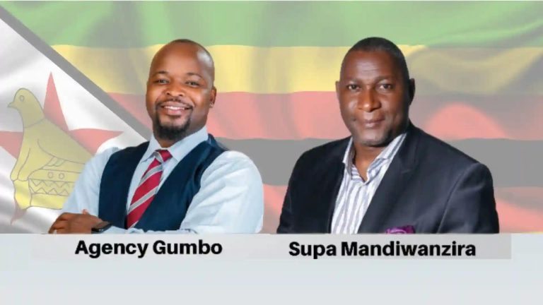 ZANU PF Gets 15 Out Of 22 Parliamentary Portfolio Committees