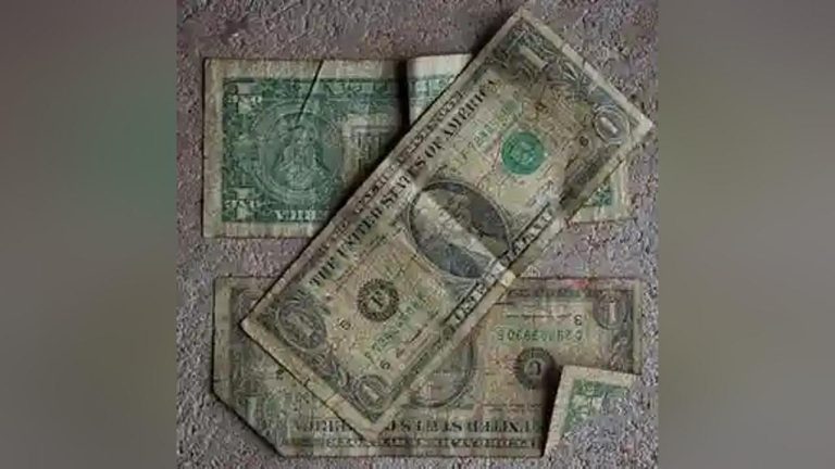 Kombi Conductor Kills Passenger For Paying Fare With Torn US$1 Note