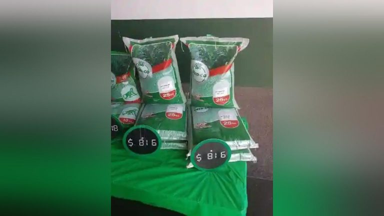 ZRP, SEEDCO In Joint Operation To Combat Selling Of Fake Maize Seed