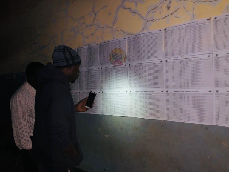 Report uncovers ZEC’s negligence in posting voters’ roll