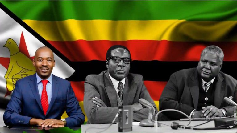 Freeman Chari's Post Sparks Controversy As Chamisa Is Compared To Joshua Nkomo On "Fear"
