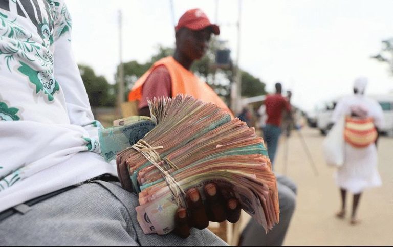 CSO says human behavior fuelling ZWL depreciation