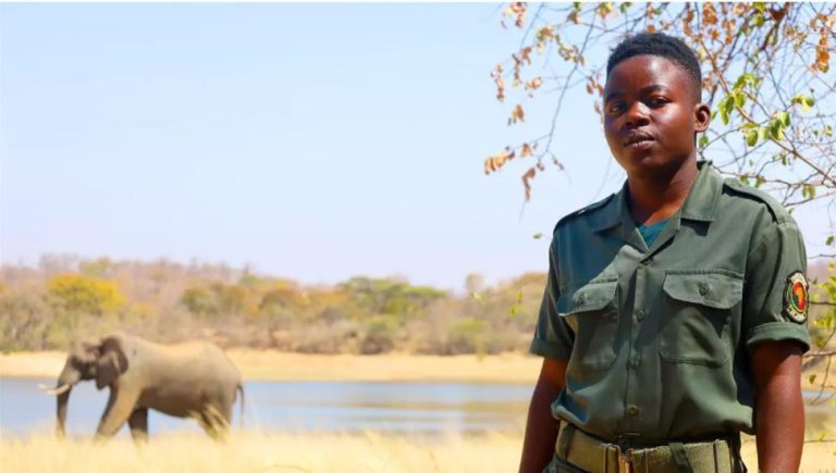 Conservation champion Patroness Ncube protects Zimbabwe’s wildlife from brutal wire snares