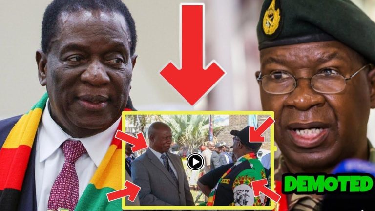 Zimbabwean President Traumatized by Leaked Video Footage of him demoting Sibanda because of Chamisa