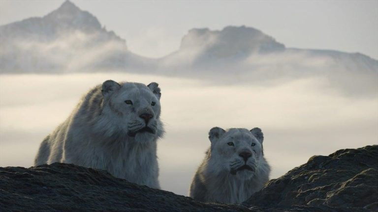 Earth's 'milestones in the history of life': Morgan Freeman on Netflix's Life on Our Planet