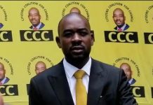 Chamisa In South Africa To Canvass Support For “Emergency Congress” | Report Chamisa In South Africa To Canvass Support For "Emergency Congress" | Report