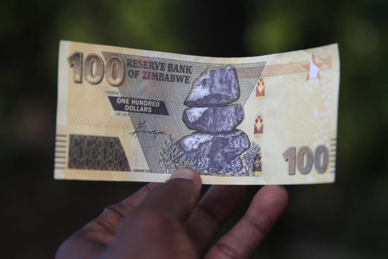 ZW$ depreciates by 0.34% on the RBZ Auction