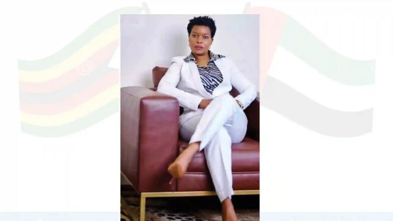 Zimbabwe's Former Diplomat In Court For Defrauding A Group Of Women US$193,000