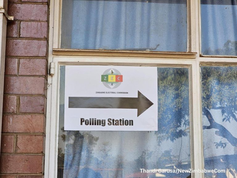 Arbitrary arrests, intimidation, heavy presence of FAZ marred Saturday by-elections – observer report reveals