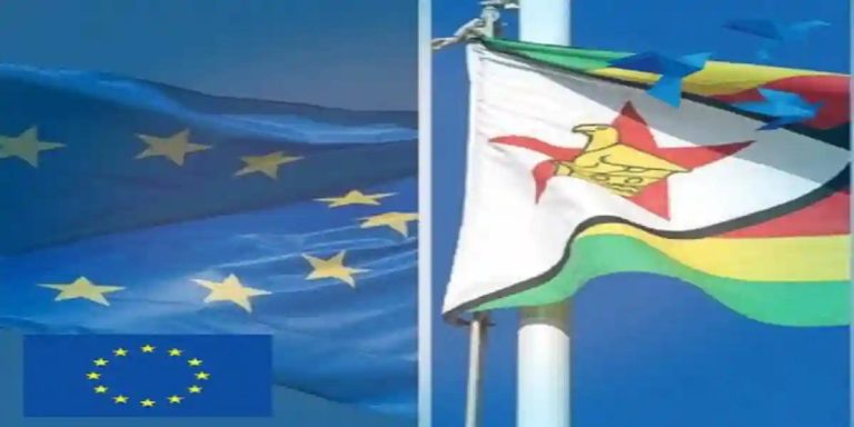 EU Election Observation Mission Releases Report On Zimbabwe's Elections