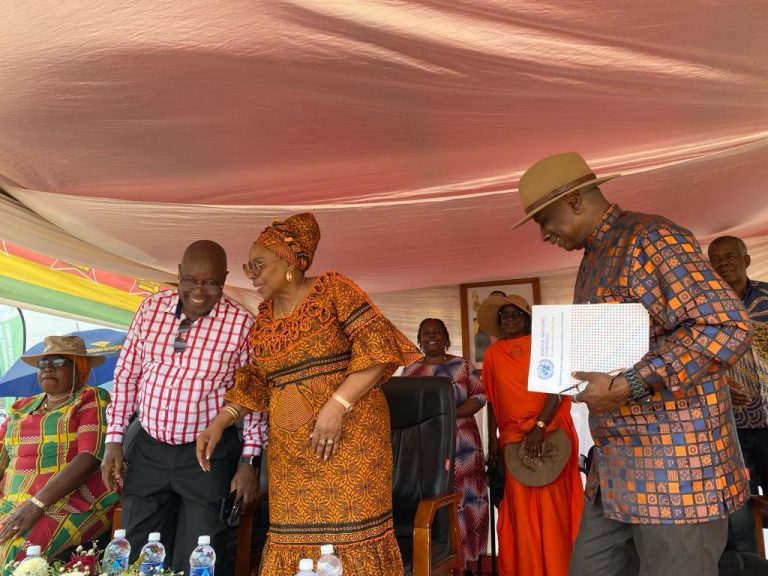 National 16 Days of Activism against GBV launched amid concerns of increased cases in Zimbabwe