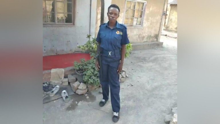 Female Security Guard Killed By Elephant In Hwange Was Alone At Night, And Had No Firearm Or Radio - Maguwu
