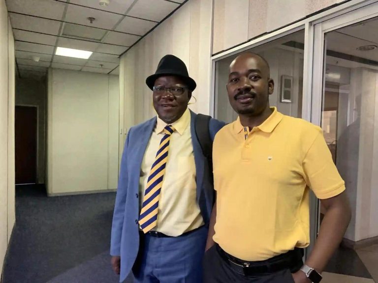 Biti Accuses Chamisa Of Creating A Parody Account To Attack Him