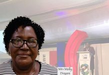 President Mnangagwa Approves Appointment Of Mrs Molly Dingani To NRZ Board President Mnangagwa Approves Appointment Of Mrs Molly Dingani To NRZ Board