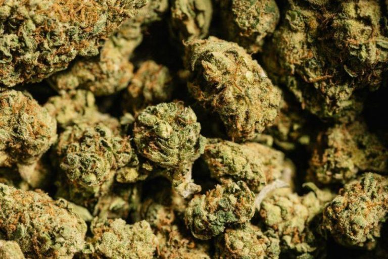 Zimbabwe faces soaring marijuana abuse crisis – report reveals