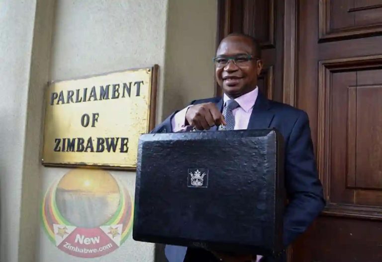 Mahere Says 2024 National Budget To Harm Small Businesses