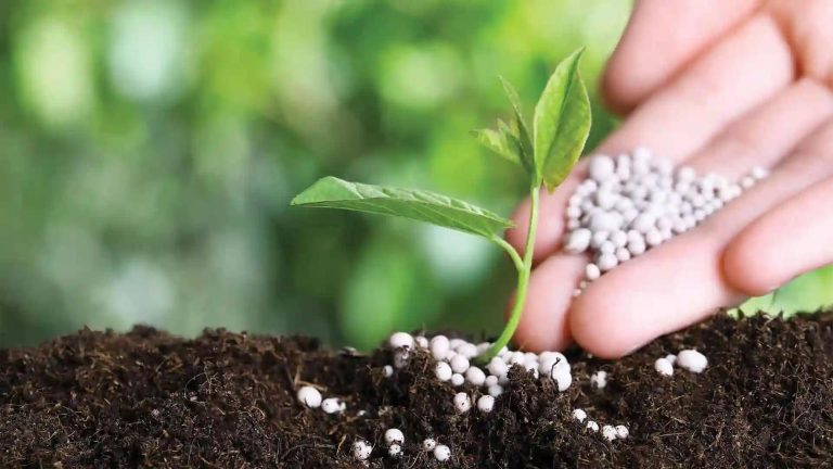 Latvia Sends Shipment Of 7,000 Tons Of Mineral Fertilizers To Zimbabwe