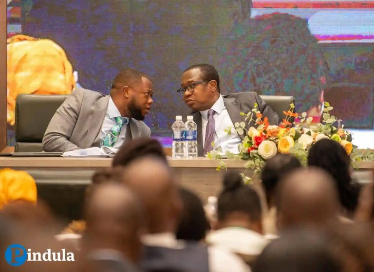 Budget-making Processes Won't Violate Zimbabweans' Rights - Govt
