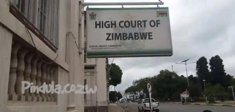 Zimbabwean Lawyer "Dragged Out Of Bed" To Argue A Case "He Had No Idea About"