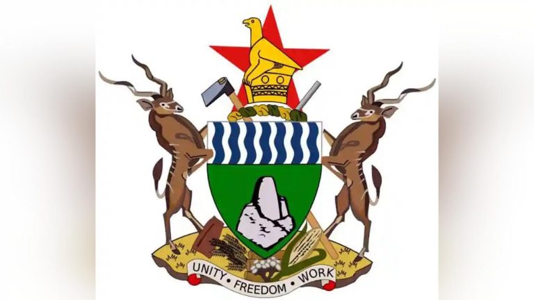 Bindura Man Arrested For "Insulting" Mnangagwa Granted ZWL$500 000 Bail