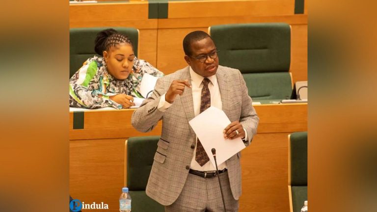 Mthuli Ncube Revises Passport Fees