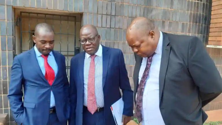 Hwende: Chamisa Needs A Conversation With Tendai Biti, Job Sikhala, Welshman Ncube