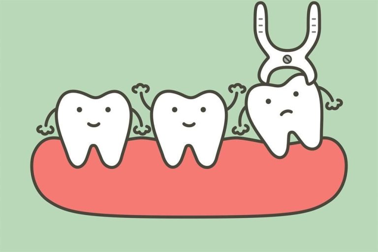 Why do people have wisdom teeth?