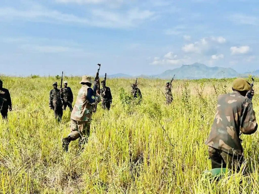 Three Tanzanian Soldiers On A Sadc Mission Killed By Rebels In Drc 