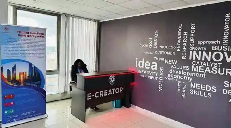 Two E-Creator Directors Granted US$1 000 Bail Each