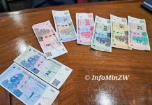 ZiG Brought More Challenges For Consumers – CCZ ZiG Brought More Challenges For Consumers - CCZ