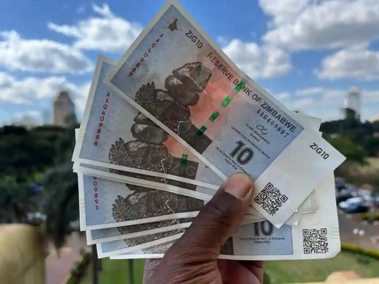 We Have Released Adequate ZiG Notes And Coins, Says Mushayavanhu